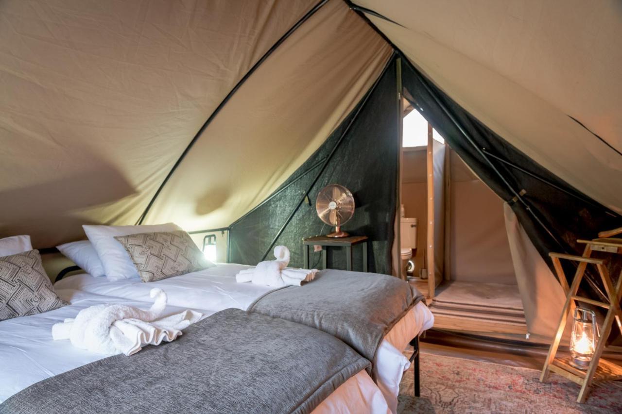 Bundox Explorer Camp Hoedspruit Dış mekan fotoğraf